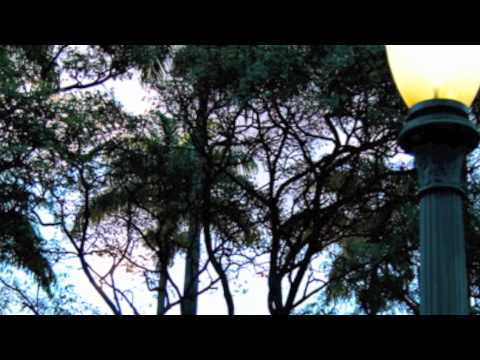 Música & Eventos - Georgia on my mind