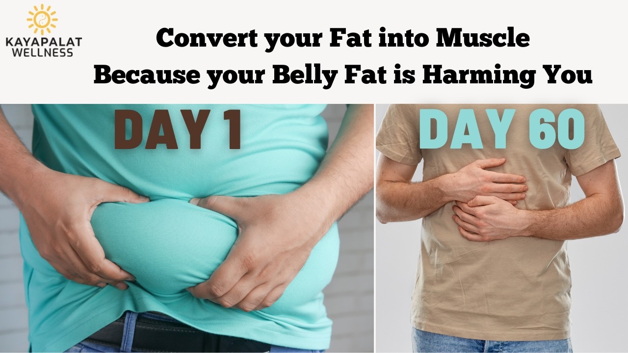 5 Kg Transformation