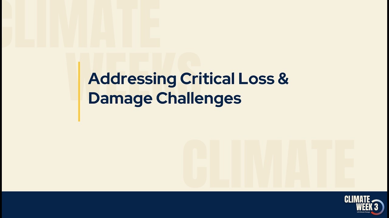 Addressing Critical Loss and Damage Challenges