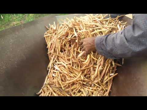 matuto da roça 👍👍🙏🙏