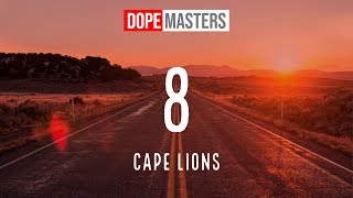 Cape Lions - 8