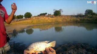 Plantando capim e pescando o jantar