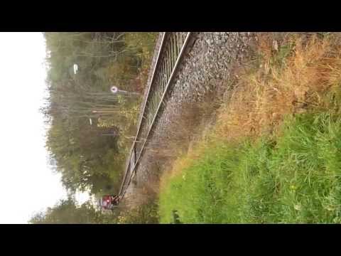 Ludmilla mit Uuai831 am alten Zementwerk Obergimpern