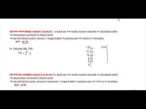 Recapitulare evaluare nationala matematica - Divizibilitate
