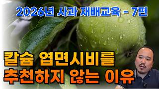 사과에 칼슘 엽면시비를 추천하지 않는 이유 | 농사 100단