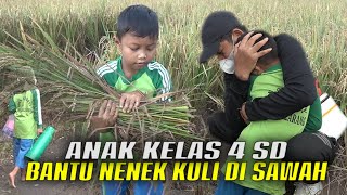 Download lagu LUKY SEJAK 1 TH DITINGGAL PISAH IBU&BAPAKNYA-KINI HIDUP DGN NENEK-RAJIN BANTU KULI NYABIT&PIKUL PADI mp3