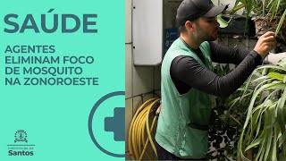 Agentes eliminam foco de mosquito na Zona Noroeste - #saude