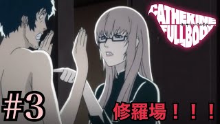 せ、先輩が大便してるから待ってくれ！！#3 【キャサリンフルボディ】
