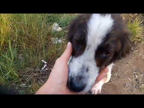 میلاد کوچولو little milad 😔❤