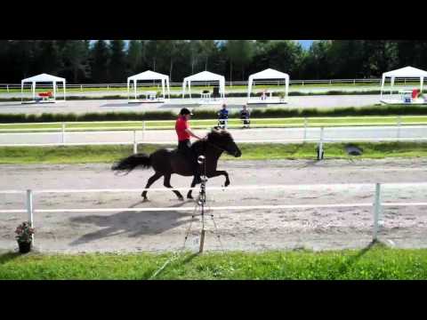 WM-Sichtung St. Radegund - PP1 - isibless