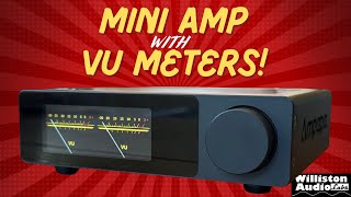 This Little Amp Has a SHOCKING Feature