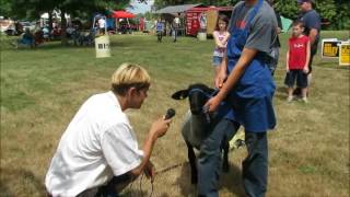 Tom Krueger interviews a lamb!