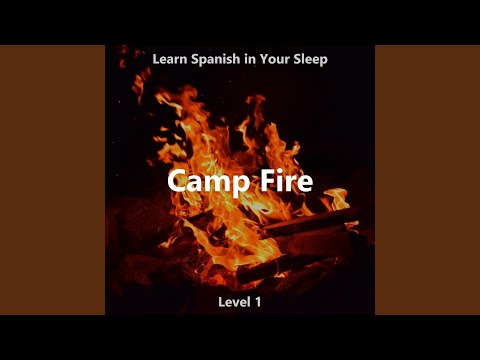 Los Idiomas - Languages