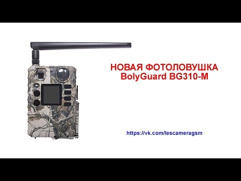 Миниатюра изображения товара Фотоловушка BolyGuard BG310-MFP