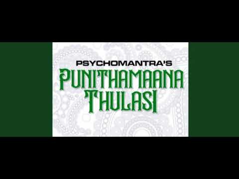psychomantra sikkikollu full song