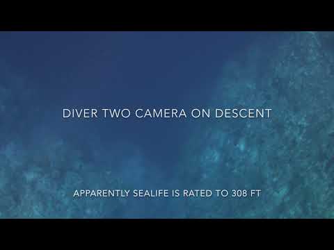 Deep Wall Dive to 308 ft on Air (21%) in Grand Cayman