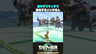 空中デスマッチで勝負するリンクさん【ゼルダの伝説 ティアキン】