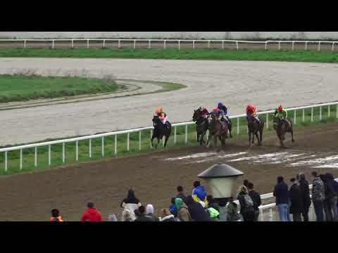 10 4 2022 II Trka   PICCOLO PARTY   Hipodrom Beograd