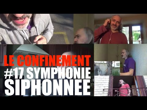 Le confinement #17 Symphonie siphonnée.