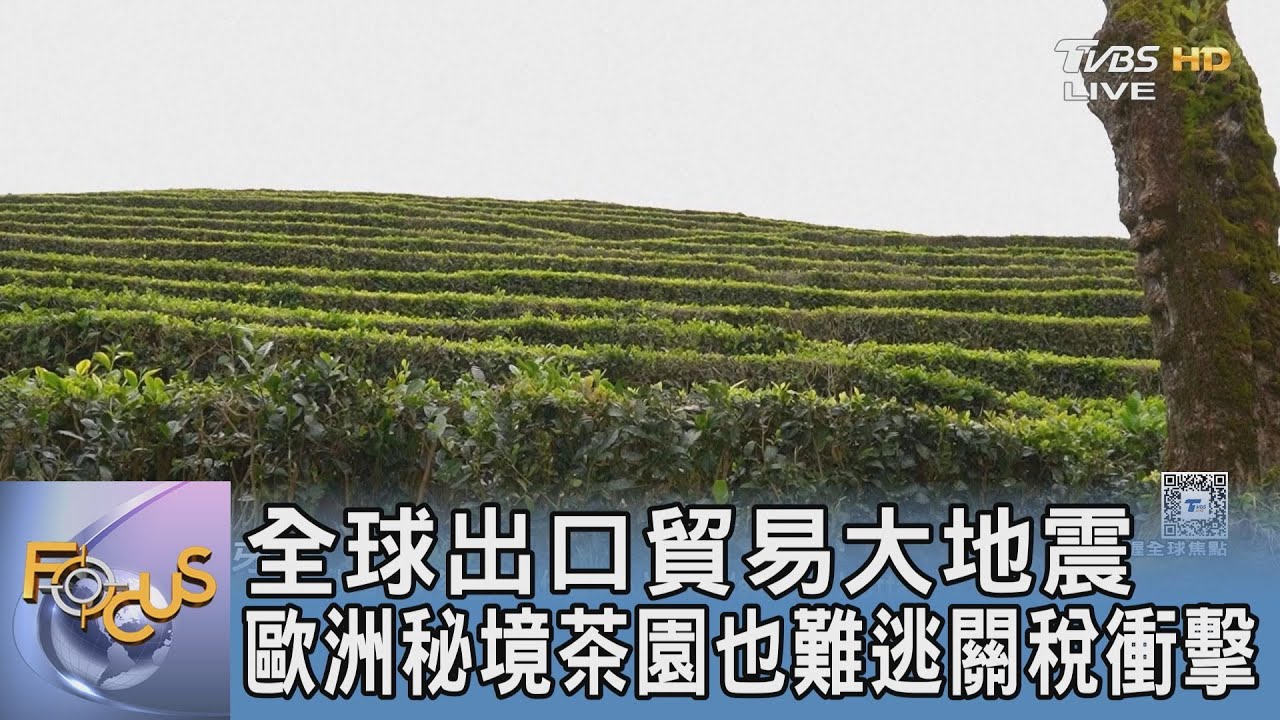 全球出口貿易大地震 歐洲秘境茶園也難逃關稅衝擊
