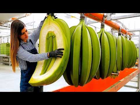 Most Satisfying Videos of Workers Doing Their Job in a Perfect Way!  Best of 2026 #5