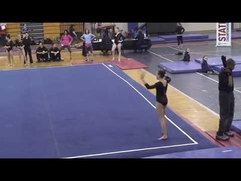 2014 L9 Gymnastics State Meet - Mar 22
