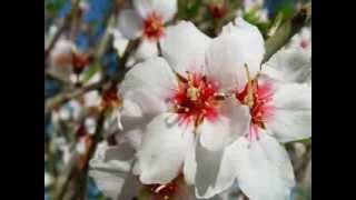 "No te vayas nunca" -José Luis Perales