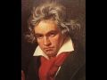 Beethoven- Piano Sonata No. 6 in F major, Op. 10 No. 2- 2nd mov. Allegretto