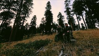 Inside one man’s quest to prove Bigfoot exists