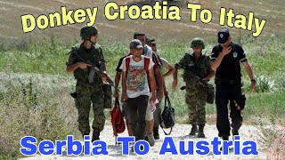 Donkey Croatia To Italy #SerbiaToAustria