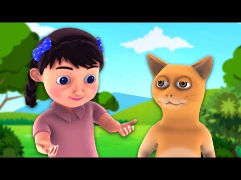 Billi Mausi Kaho Kahan Se Aayi Ho | Hindi Song | बिल्ली मौसी | Hindi Nursery Rhymes
