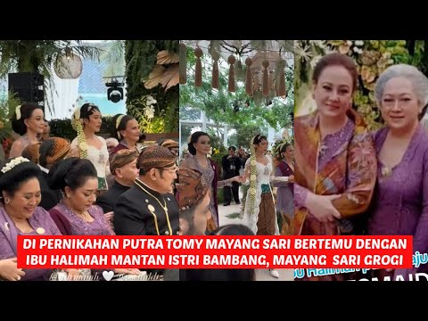 mayang sari  plengah plengeh hadir di pernikahan putra tomy, ibu halimah hadir di rindukan netizen
