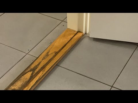 M3D PM: NJ II - Jalas