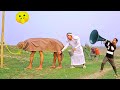 Must Watch New Special Comedy Video 2024 😎Totally Amazing Comedy Episode 137 by funny dabang