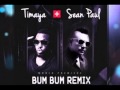 Timaya Ft Sean Paul Bum Bum Remix