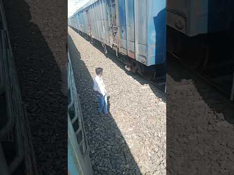 #cat train 🚆