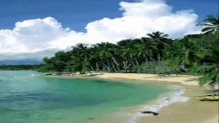 Herb Alpert & The Tijuana Brass / Our Day Will Come