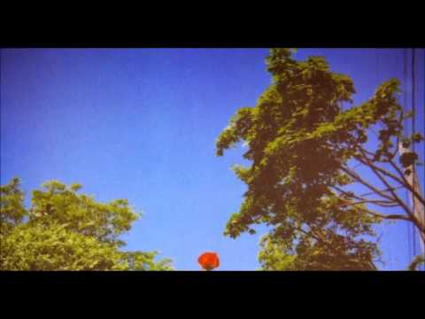 Benoît Pioulard  - The Gilded Fear That Guides The Flow