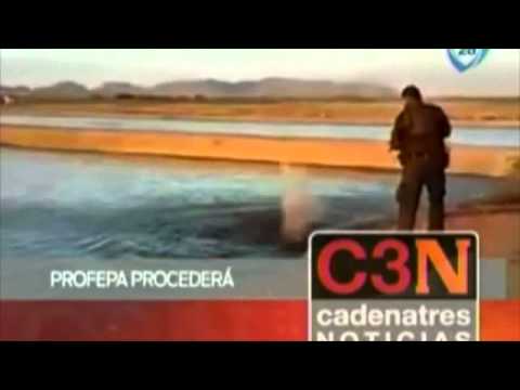 Resumen de noticias del domingo  29 de marzo