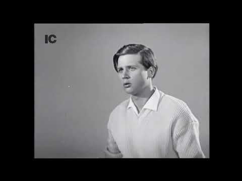 1965 Pascalin - und endlich reine Haut – Deutsche Retro Werbung