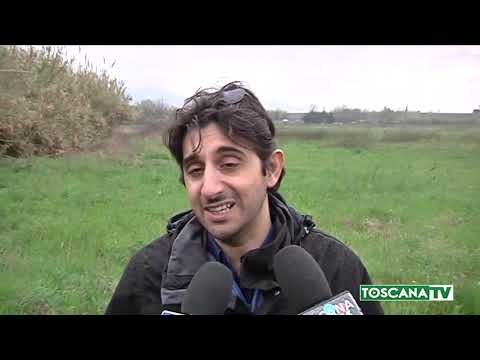 2019-12-04 FIRENZE - FORTETO,COMMISSARIO  LO METTE IN VENDITA