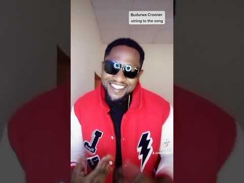 Don R - Budurwa TikTok Video