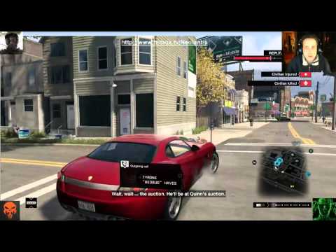 Do Turkey's have penis's?