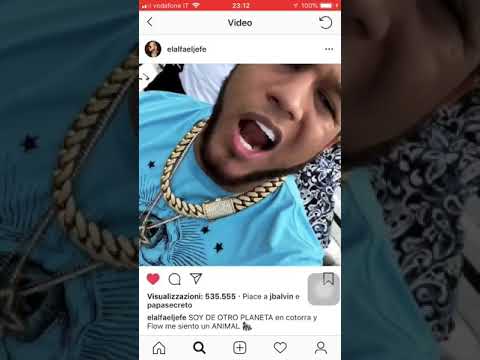 El ALFA EL JEFE “Bien tropical 🌴 “ con Mozart❌Shelow shaq