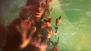 the parish of space dust by the gorillaz with lyrics