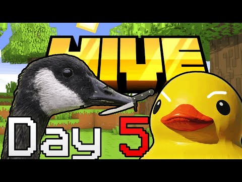EPIC BATTLE: Ducks Vs Geese - Who Will Win?!