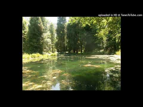 free* diary + emoplugg type beat