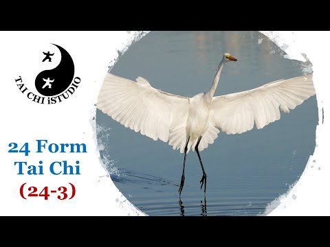 24 Form Tai Chi (24-3, White crane spreading wings)