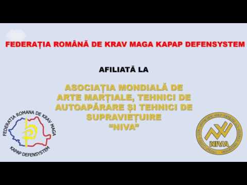 NIVA - Stick Fight demonstration