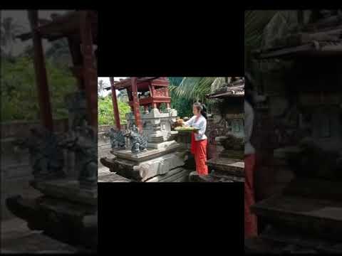 Contoh Kewajiban Brahmacari Kepada Guru Swadyaya